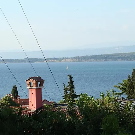 Robo Koper